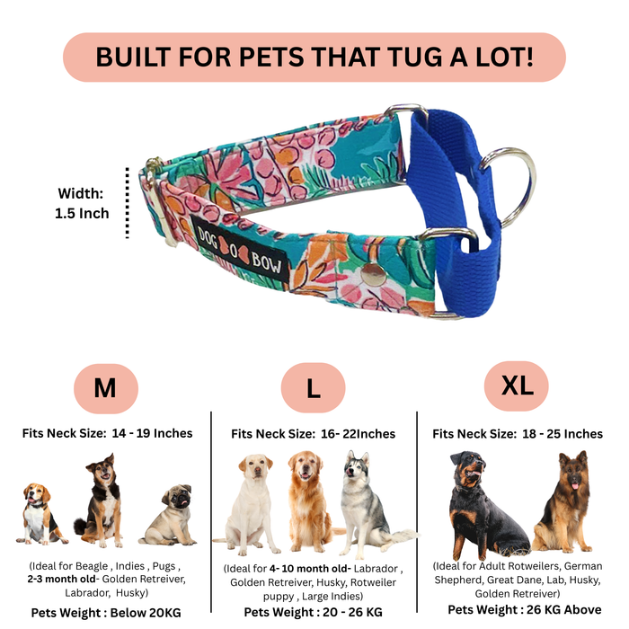 Tropicana Martingale Collar (1.5 inch width)