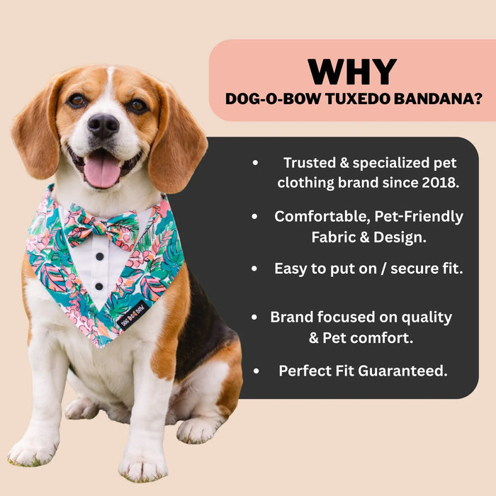 Tropicana Print Tuxedo Bandana