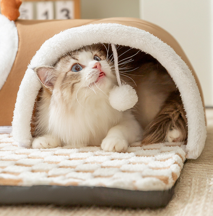 Tunnel pour chats d'intérieur avec tapis moelleux, taille L
