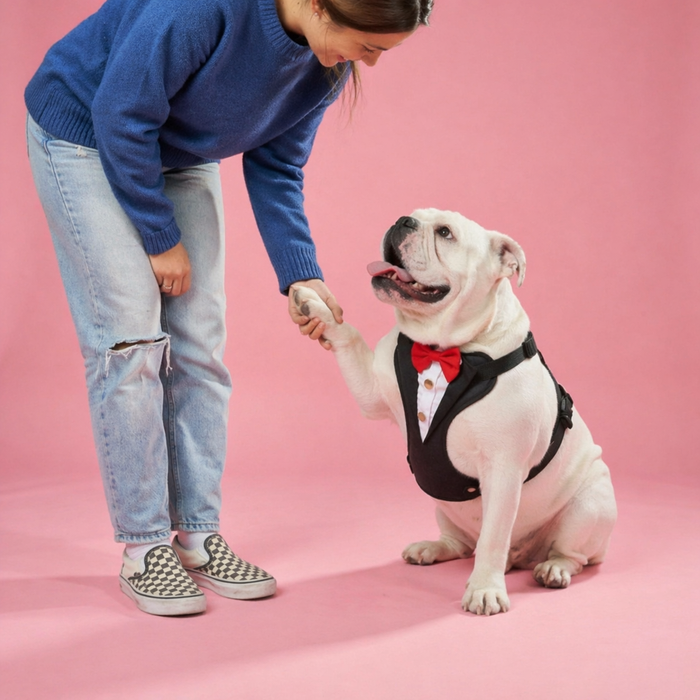 Tuxedo Body Harness