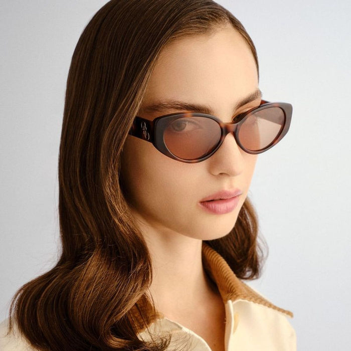 Valencia, Signature Tort/Chocolate Lenses