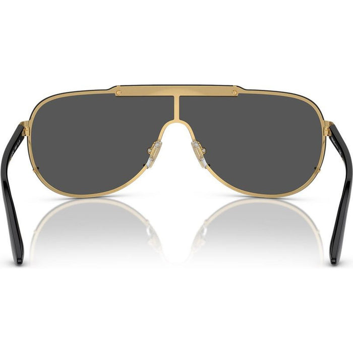 VE2140, Gold/Grey Lenses