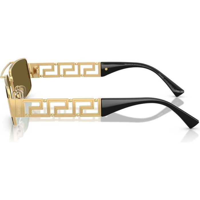 VE2257, Gold/Dark Brown Lenses