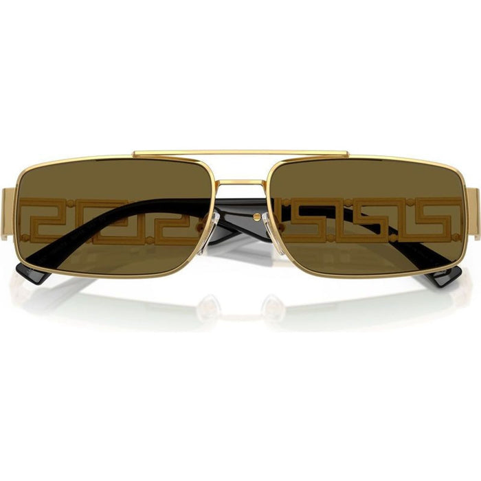 VE2257, Gold/Dark Brown Lenses