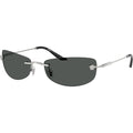 VE2279, Silver/Dark Grey Lenses