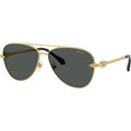 VE2283, Gold/Dark Grey Lenses