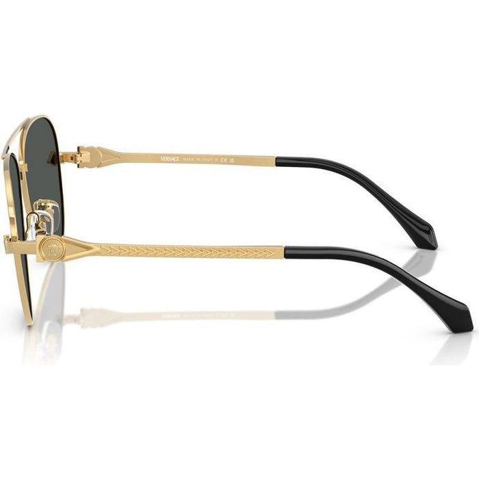 VE2283, Gold/Dark Grey Lenses