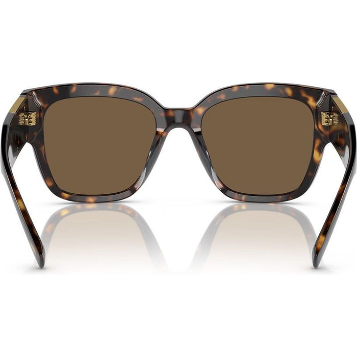 VE4437U, Havana/Dark Brown Lenses