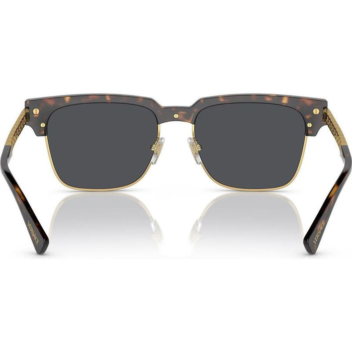 VE4447, Havana/Dark Grey Lenses