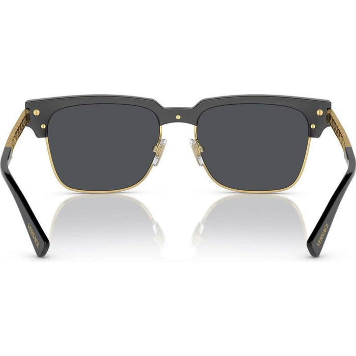VE4447, Black/Dark Grey Lenses