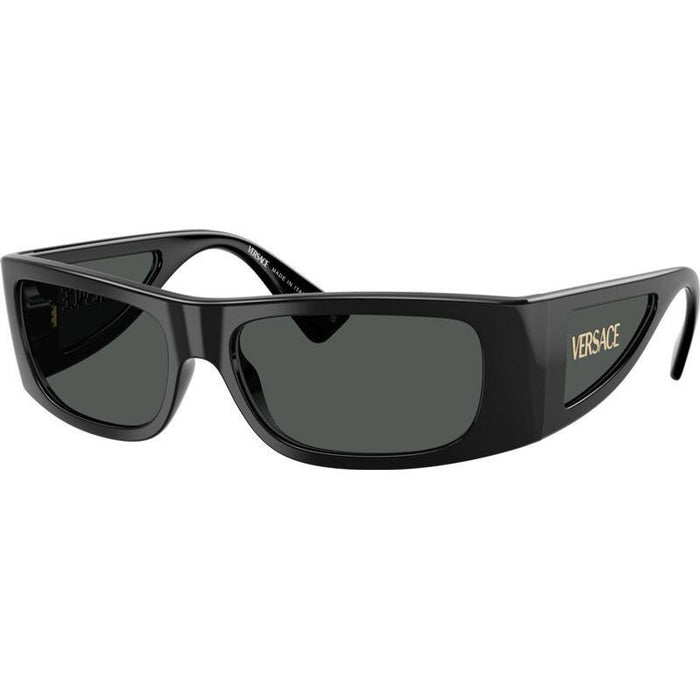 VE4482, Black/Dark Grey Lenses