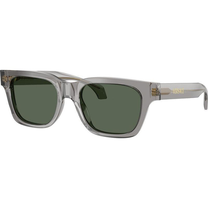 VE4486, Transparent Grey/Dark Green Lenses