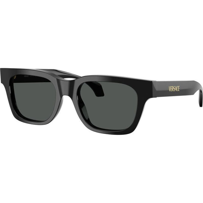 VE4486, Black/Dark Grey Lenses