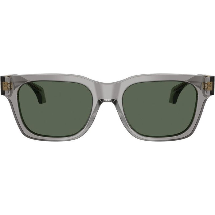 VE4486, Transparent Grey/Dark Green Lenses