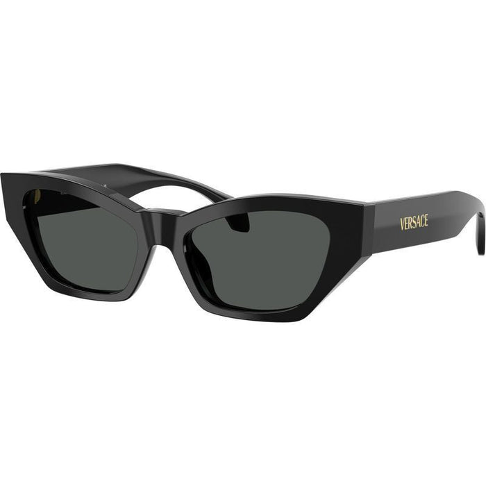 VE4488U, Black/Dark Grey Lenses