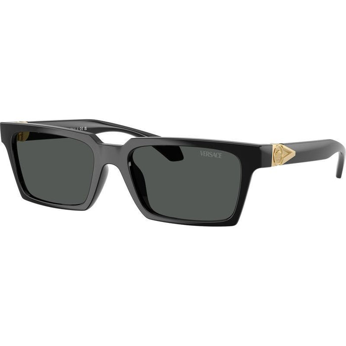VE4490U, Black/Dark Grey Lenses