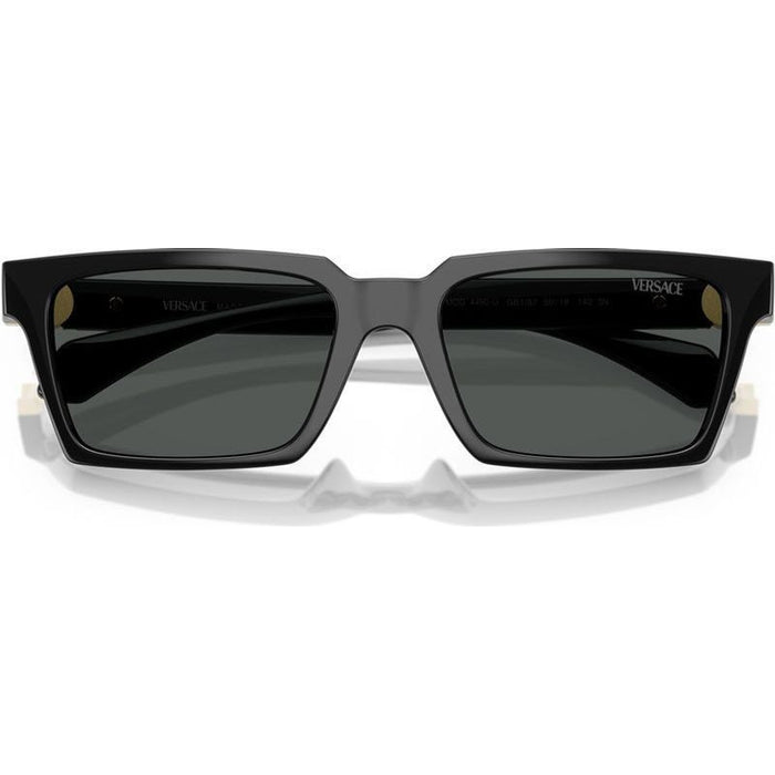 VE4490U, Black/Dark Grey Lenses