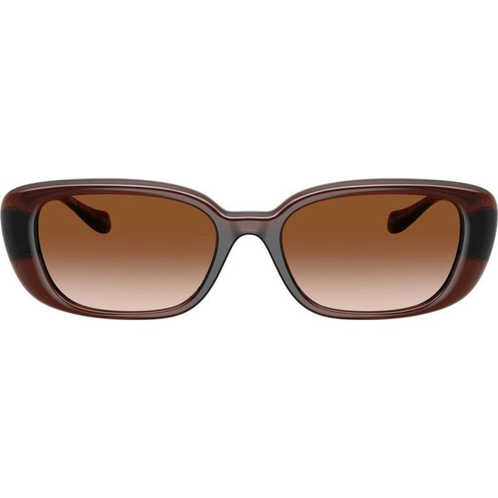 VE4504D, Transparent Brown/Brown Gradient Lenses