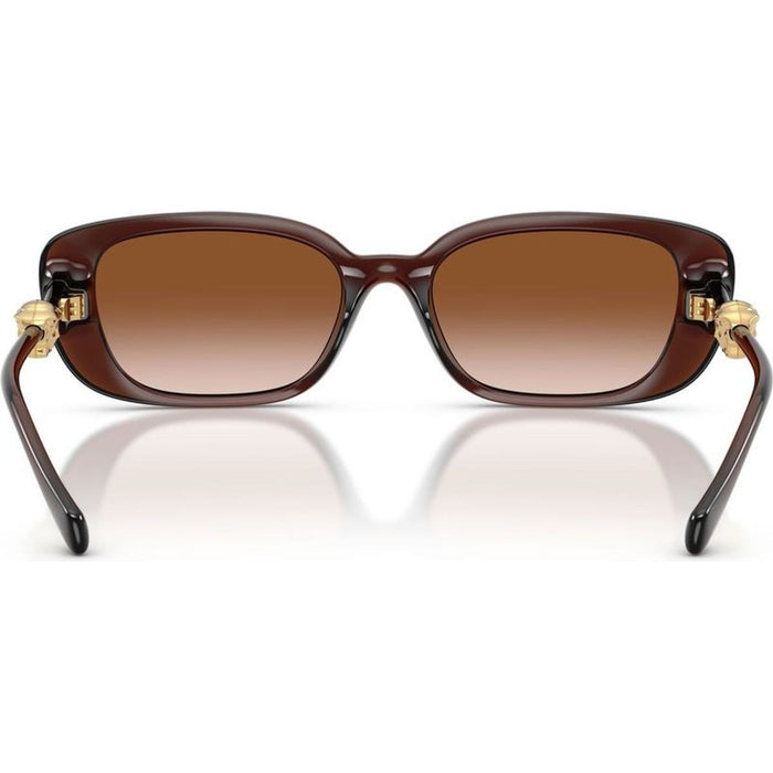 VE4504D, Transparent Brown/Brown Gradient Lenses