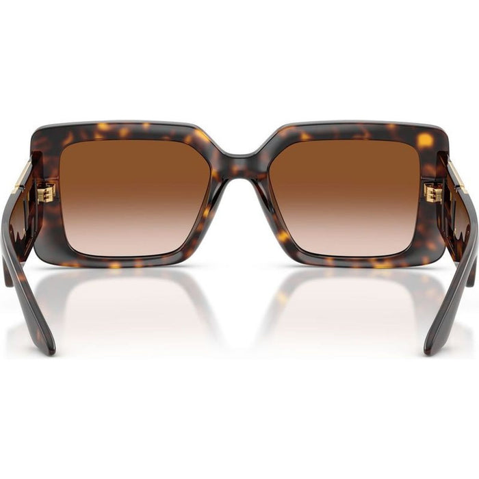 VE4505U, Havana/Brown Gradient Lenses