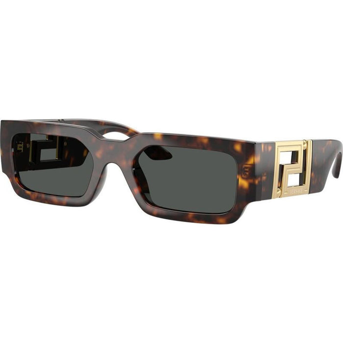VE4506U, Havana/Dark Grey Lenses