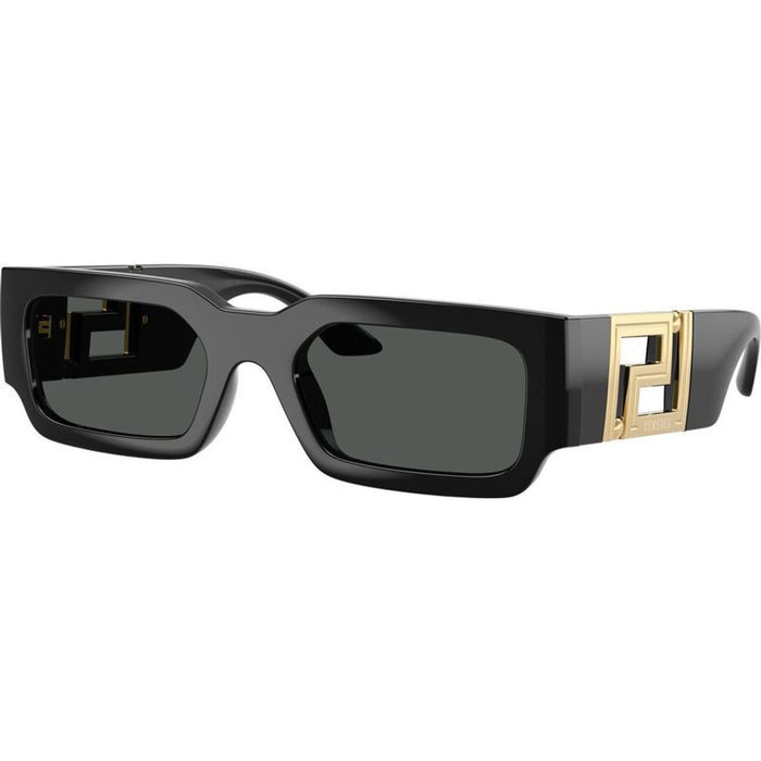 VE4506U, Black/Dark Grey Lenses