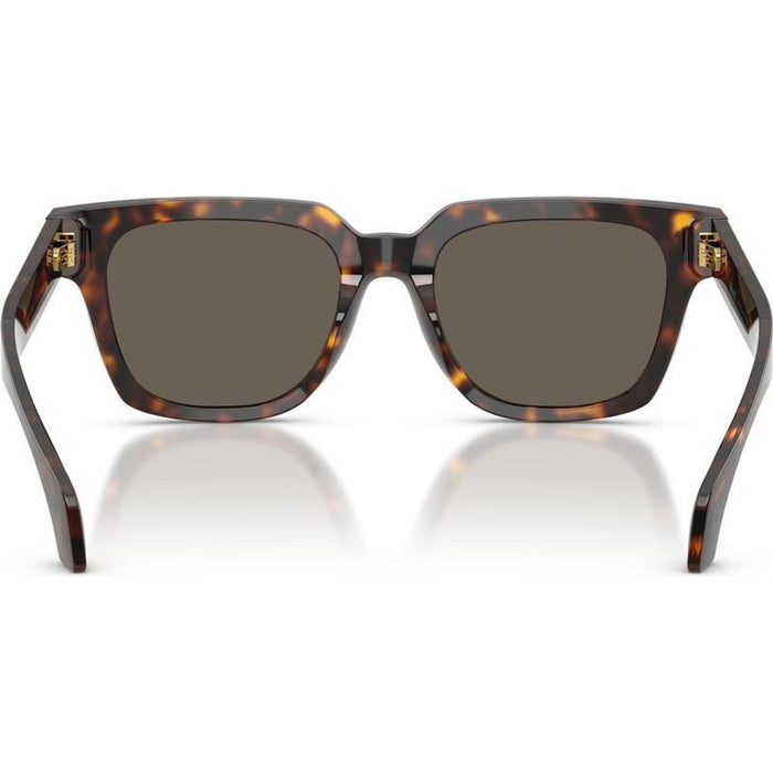 VE4510U, Havana/Brown Lenses