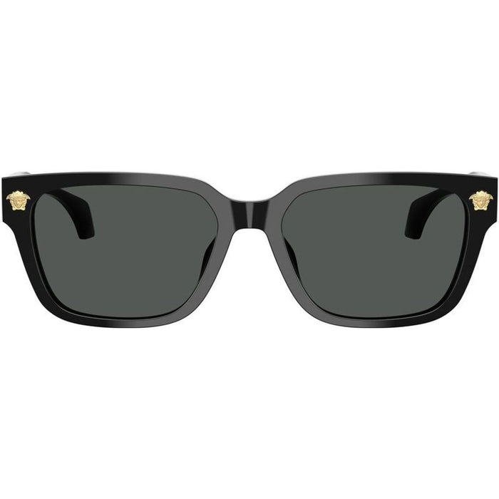 VE4513D, Black/Dark Grey Lenses