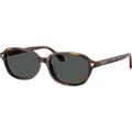 VE4514D, Havana/Dark Grey Lenses