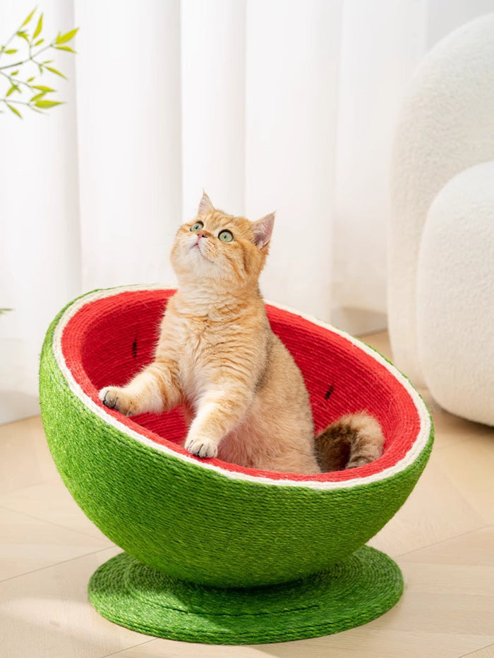 Watermelon Shaped Cat Scratching Post Nest - FloofChonk
