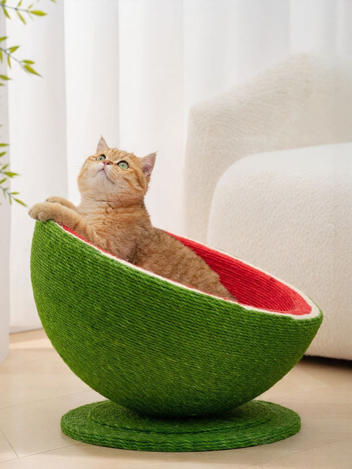Watermelon Shaped Cat Scratching Post Nest - FloofChonk
