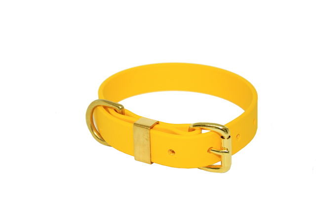 WATERPROOF BIOTHANE  MINI OR PUPPY COLLAR