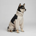 Shiba Inu wearing a beige and black waterproof four-leg dog raincoat