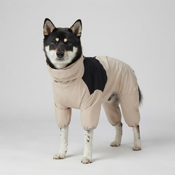 Medium dog standing in a beige and black four-leg waterproof raincoat