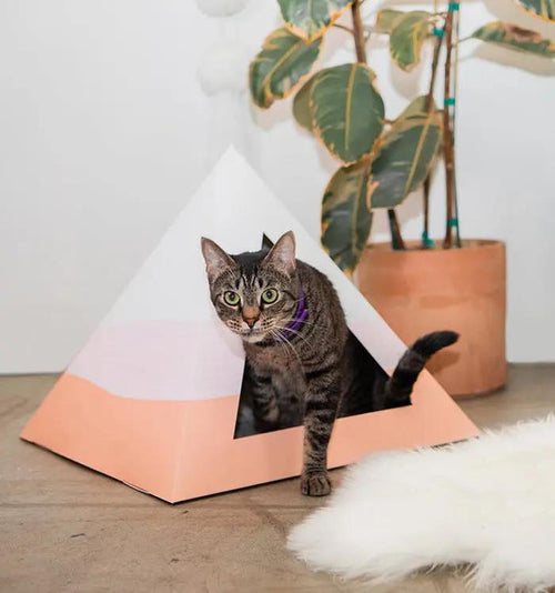 'Wavey' Cardboard Cat Pyramid - FloofChonk