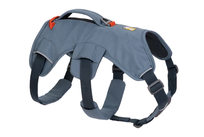 Web Master Harness