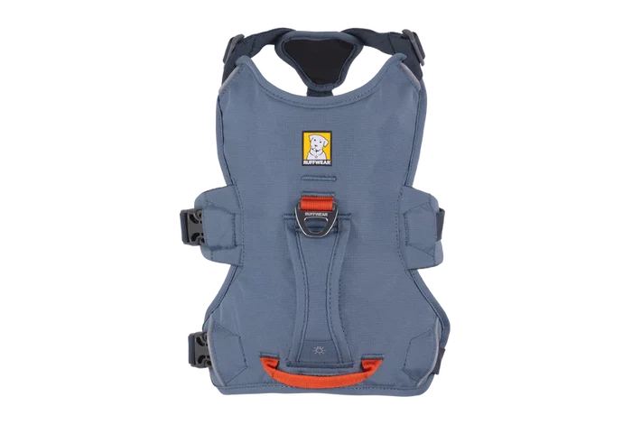 Web Master Harness