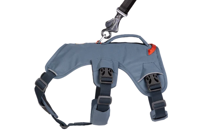 Web Master Harness