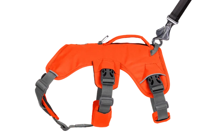 Web Master Harness