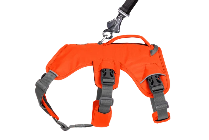 Web Master Harness
