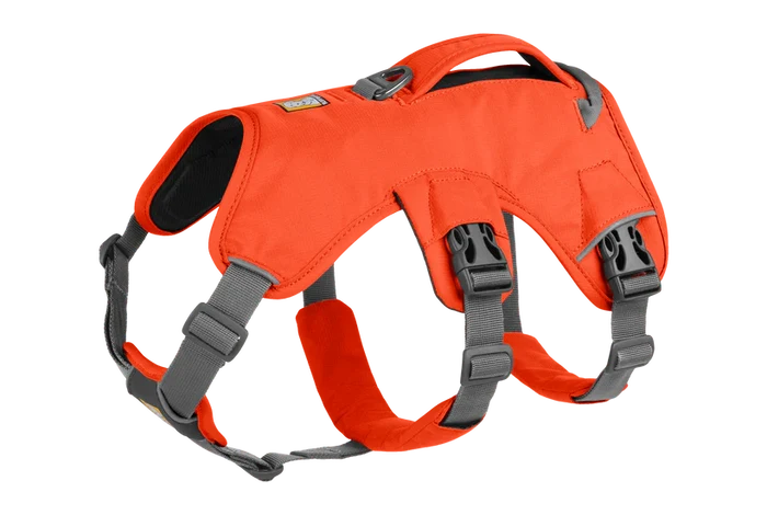 Blaze Orange / LGE/XL