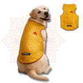 Yellow-brocade Sherwani