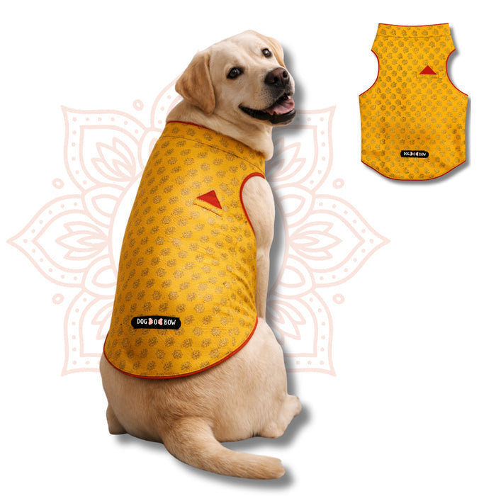 Yellow-brocade Sherwani