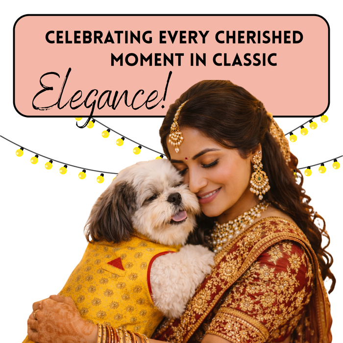 Yellow-brocade Sherwani