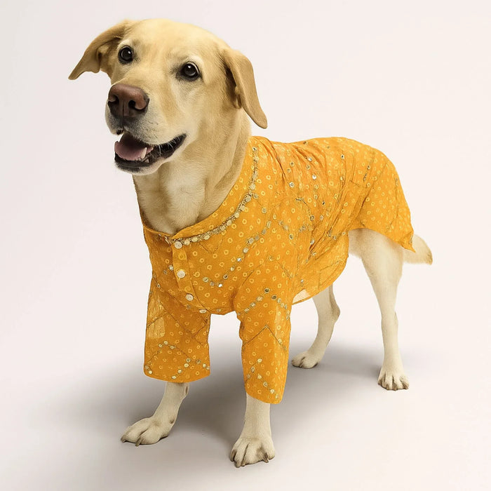 Yellow Mirror Kurta
