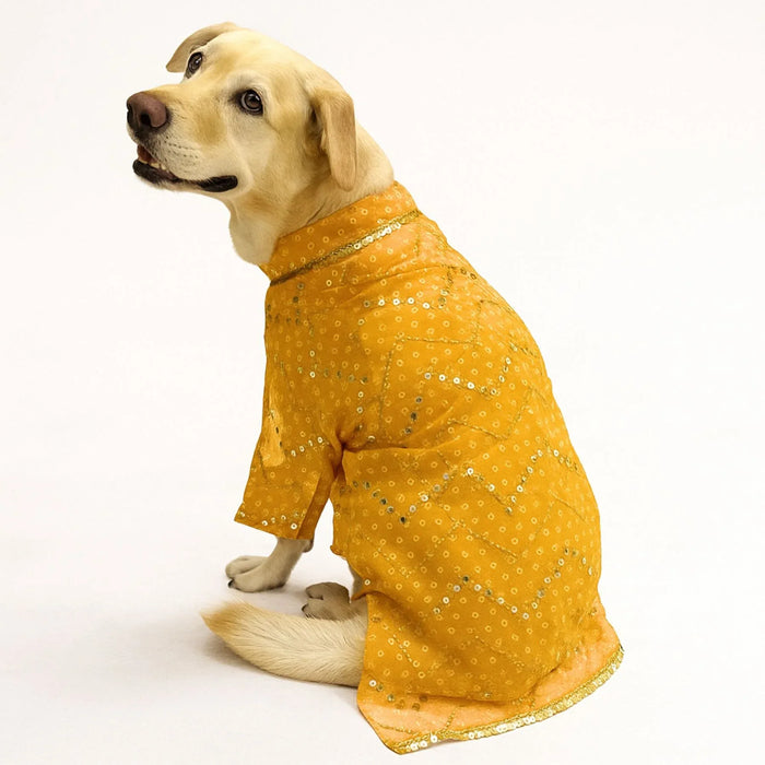 Yellow Mirror Kurta