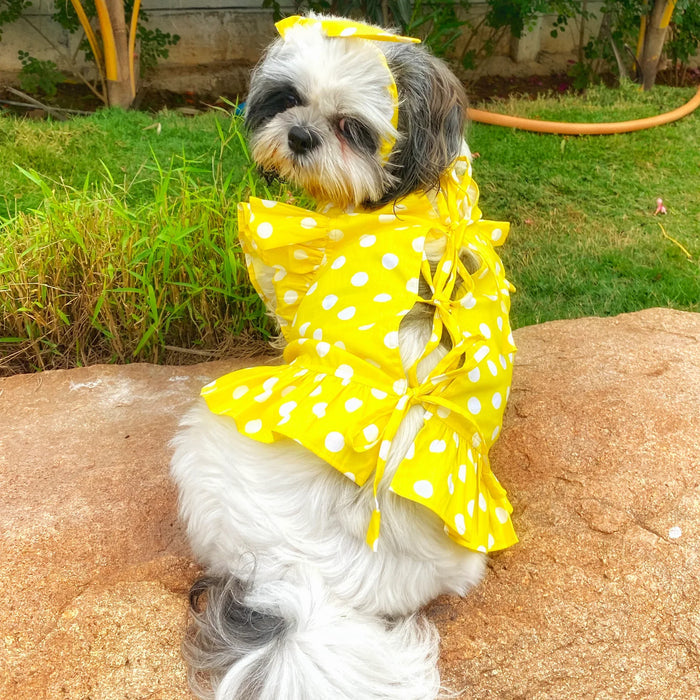 Yellow Polka Dot Shirt Frock