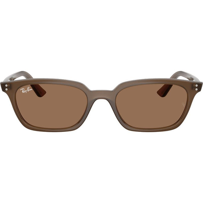 Ray-Ban Zaya RB4456 Transparent Dark Brown Brown Front