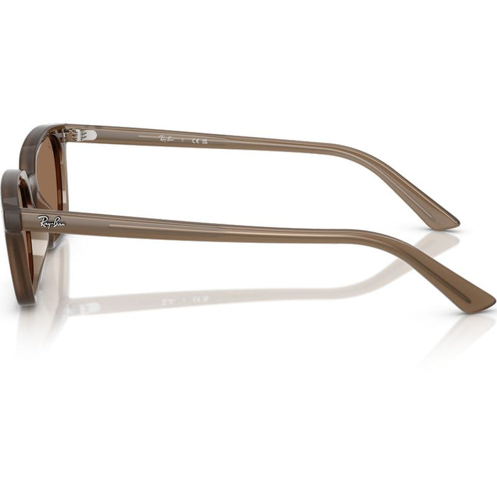 Ray-Ban Zaya RB4456 Transparent Dark Brown Brown Side
