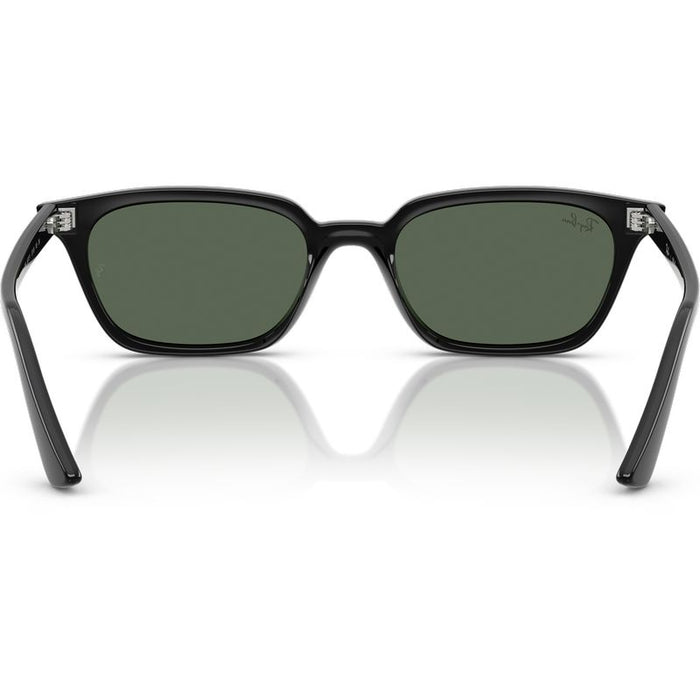 Ray-Ban Zaya RB4456 Black Green Inner Frame